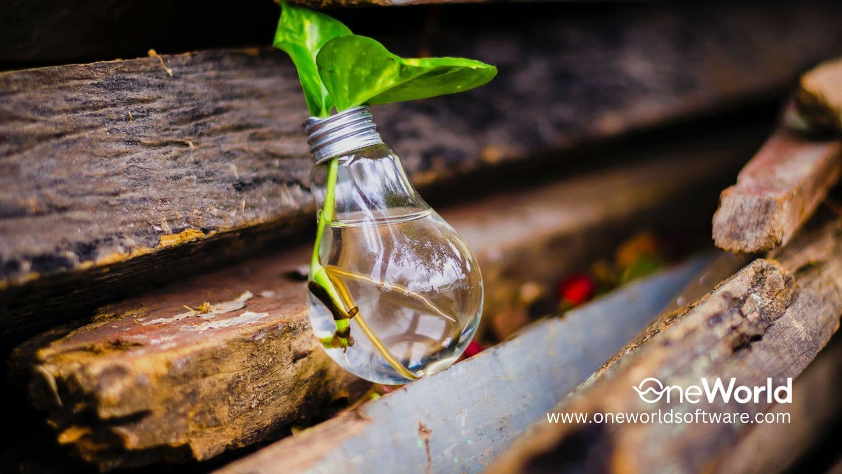 Top 3 Factors Your Brand Needs a Website in 2023